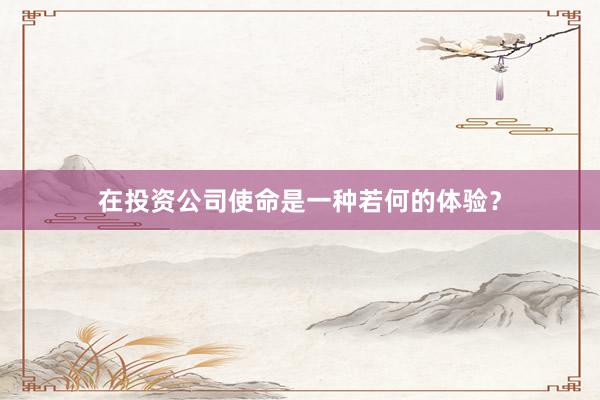 在投资公司使命是一种若何的体验？